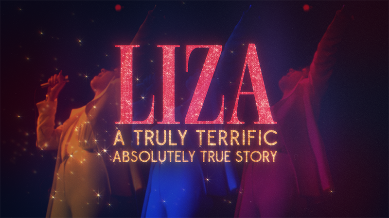 Liza: A Truly Terrific Absolutely True Story